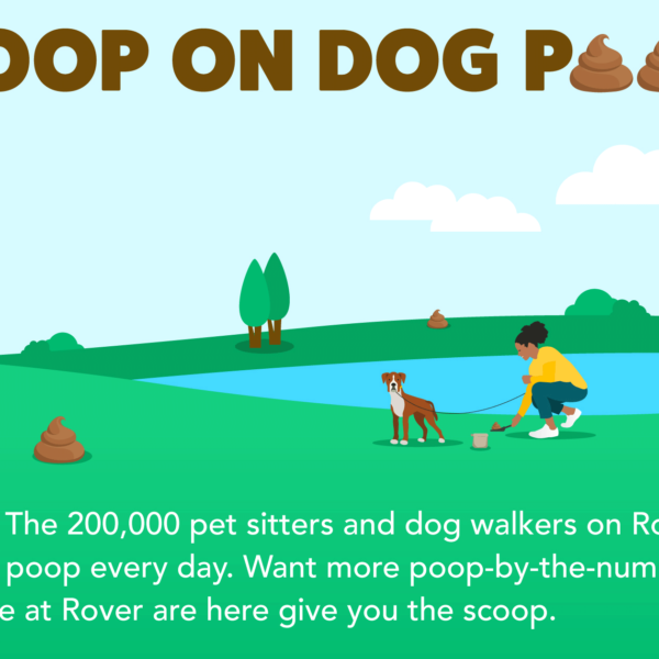 The Scoop on Dog Poop Infographic for Rover.com