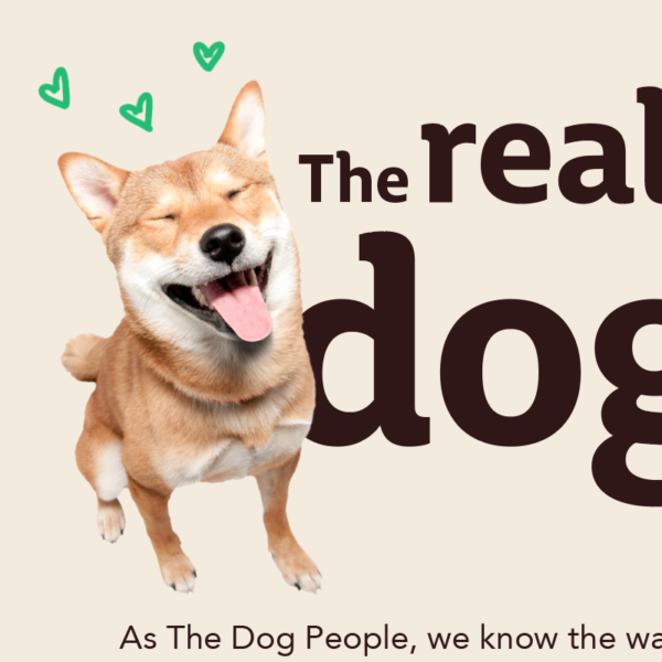 Infographic – the real power of dog love